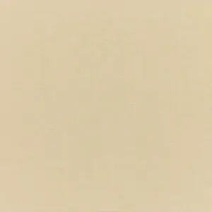 Canvas Antique Beige RAIN