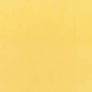 Canvas Buttercup