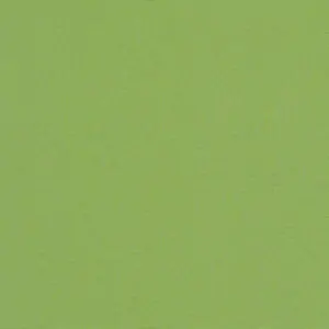 Canvas Ginkgo RAIN