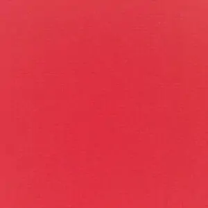 Canvas Logo Red