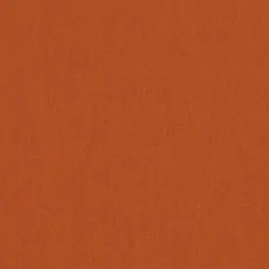 Canvas Rust