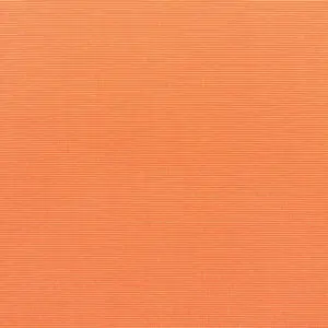 Canvas Tangerine