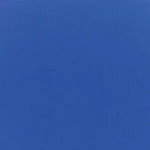 Canvas True Blue