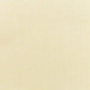 Canvas Vellum