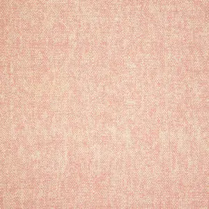 Chartres Rose