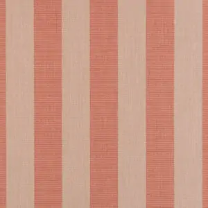Expressive Blush