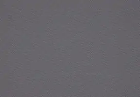 Meteor Grey