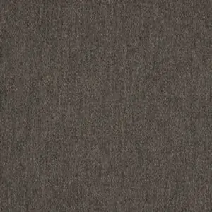 Pashmina Coal