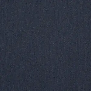 Pashmina Indigo