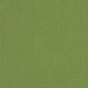 Spectrum Cilantro