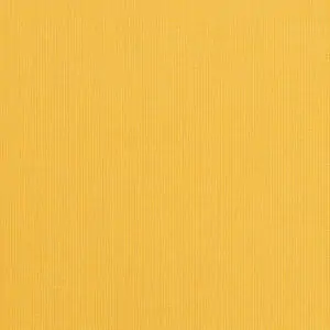 Spectrum Daffodil
