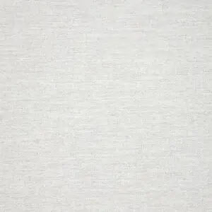 Switch Snow