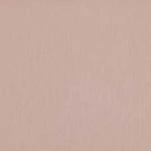 Canvas Blush