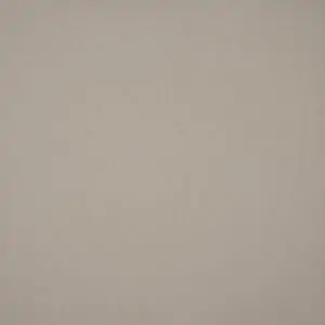 Canvas Stone