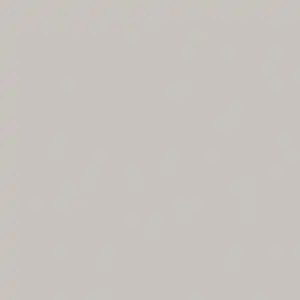Canvas Silver Grey