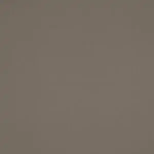 Canvas Taupe